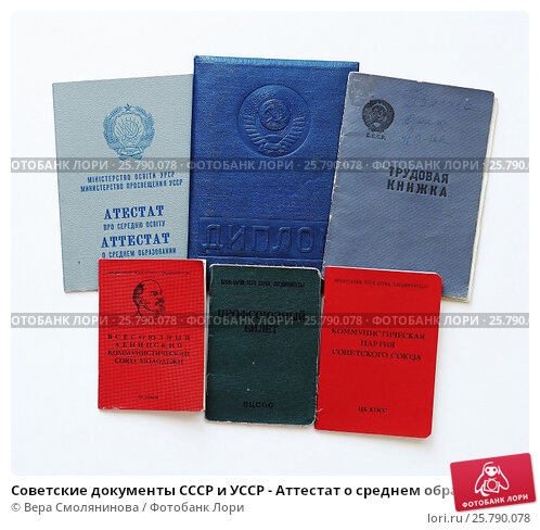 Купить диплом МИП на бланках