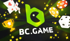 Comprehensive Guide to BC.Game RO Payment Methods