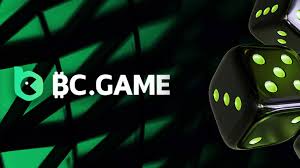 Download the BC.Game App for Ultimate Gaming Experience
