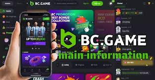 Understanding BC.Game General Terms and Conditions
