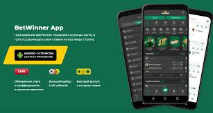 BetWinner Bookmaker Your Guide to Winning Bets Online
